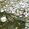 25 Simple and Easy Ways to Reduce Water Pollution Now!